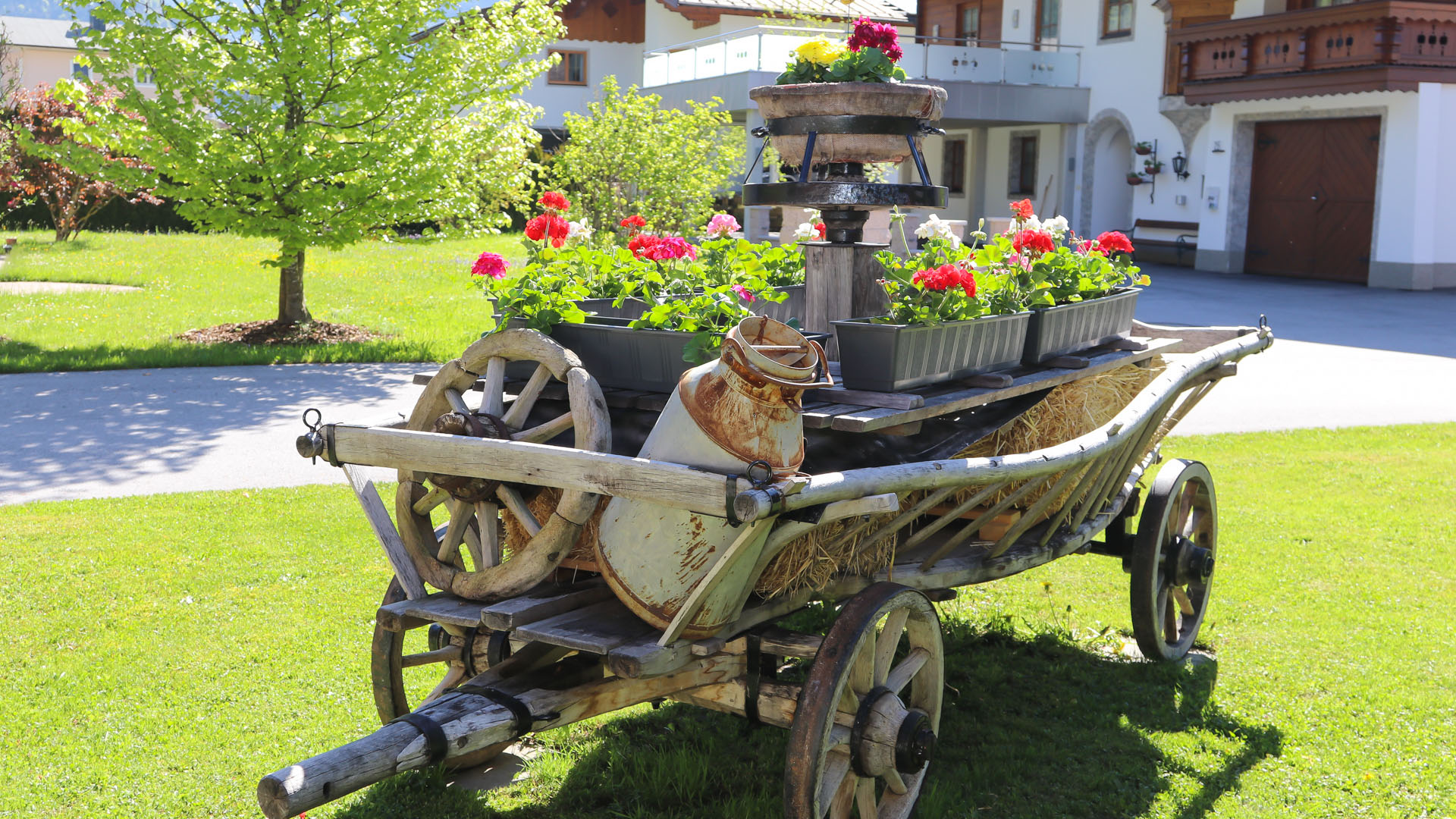 Sommerurlaub erleben